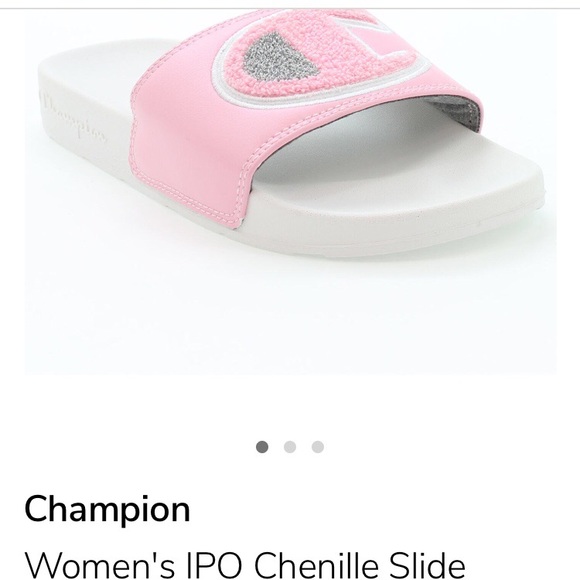 Champion slides - Picture 1 of 1